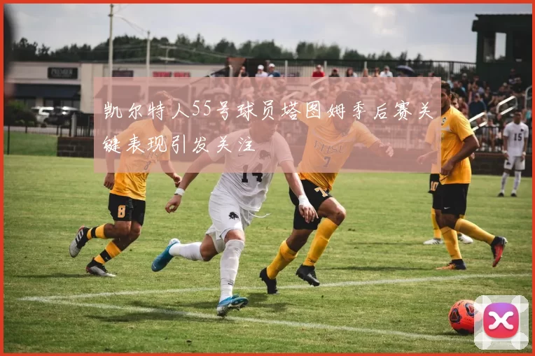 凯尔特人55号球员塔图姆季后赛关键表现引发关注
