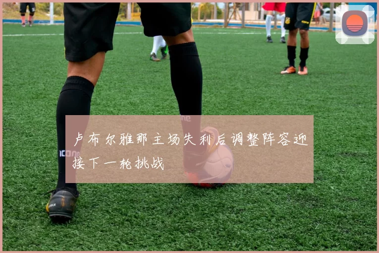 卢布尔雅那主场失利后调整阵容迎接下一轮挑战